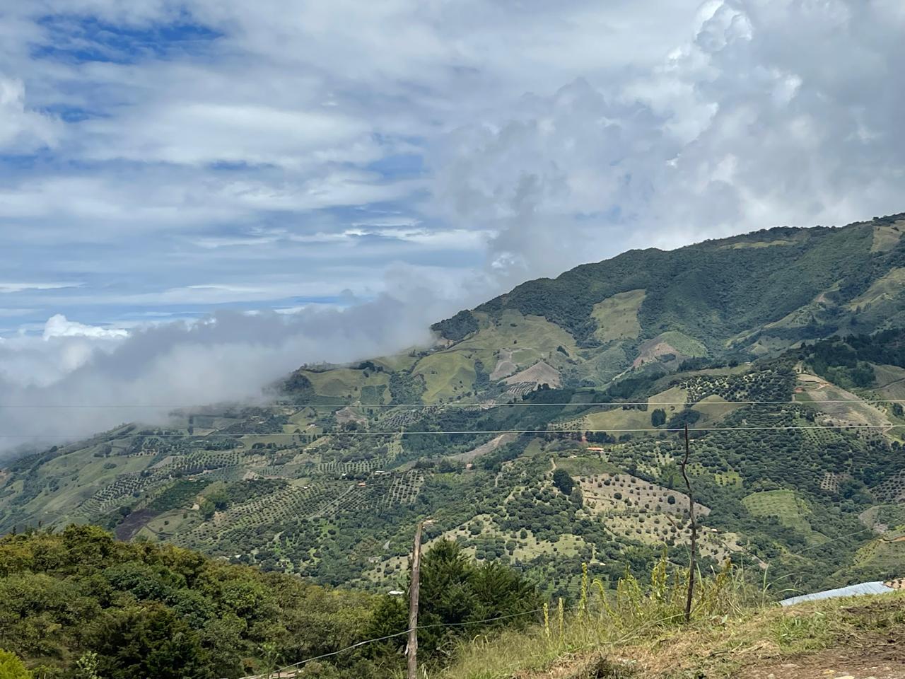 Campos de cultivo