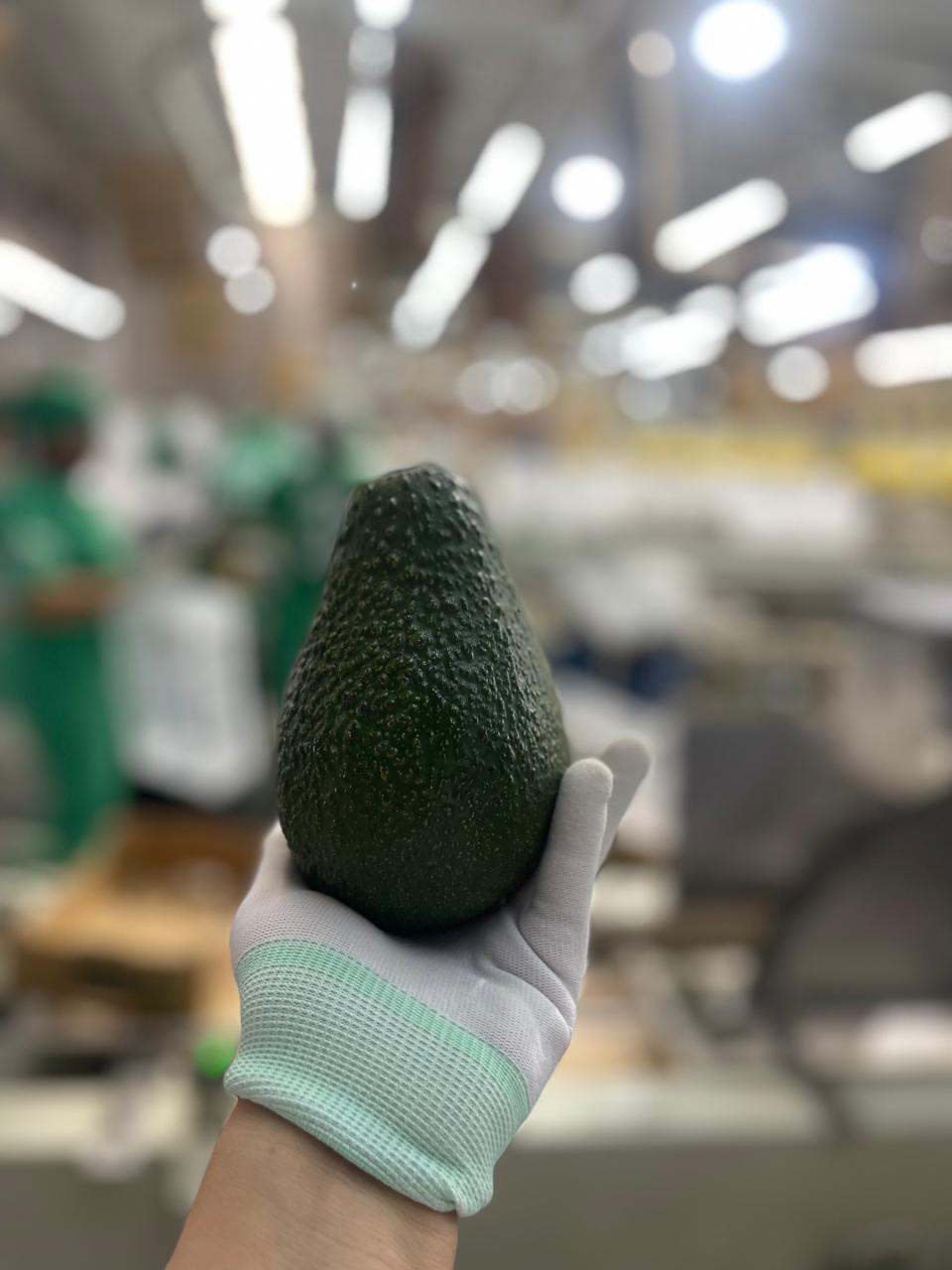 Trabajo en equipo