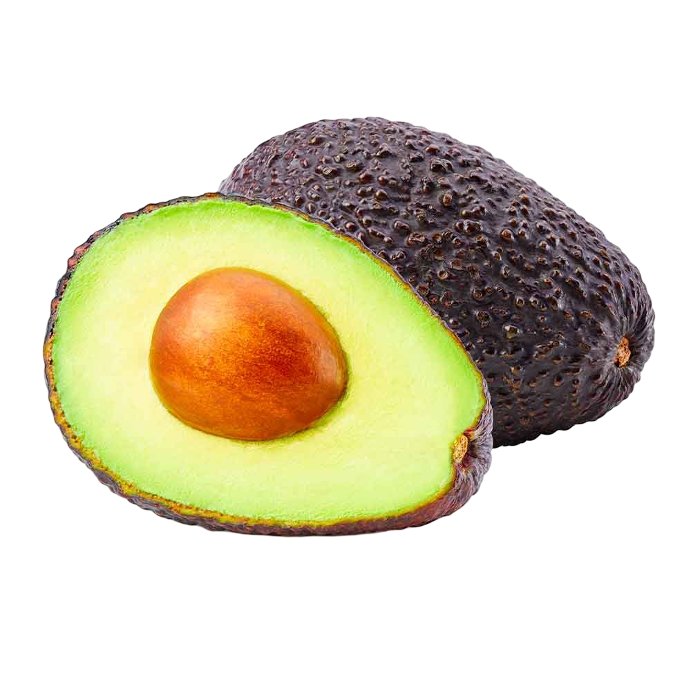 Aguacate Hass