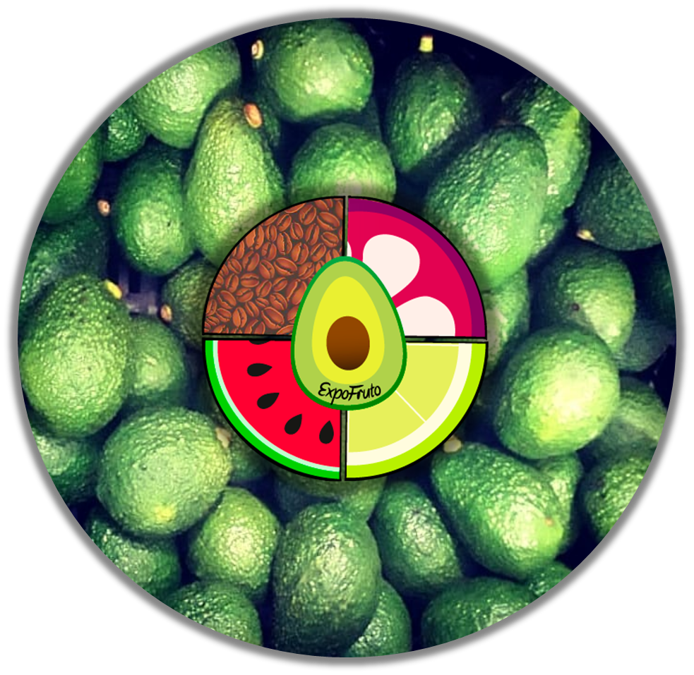logoDecoracion