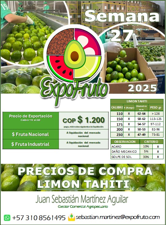 Ficha de precios semanales