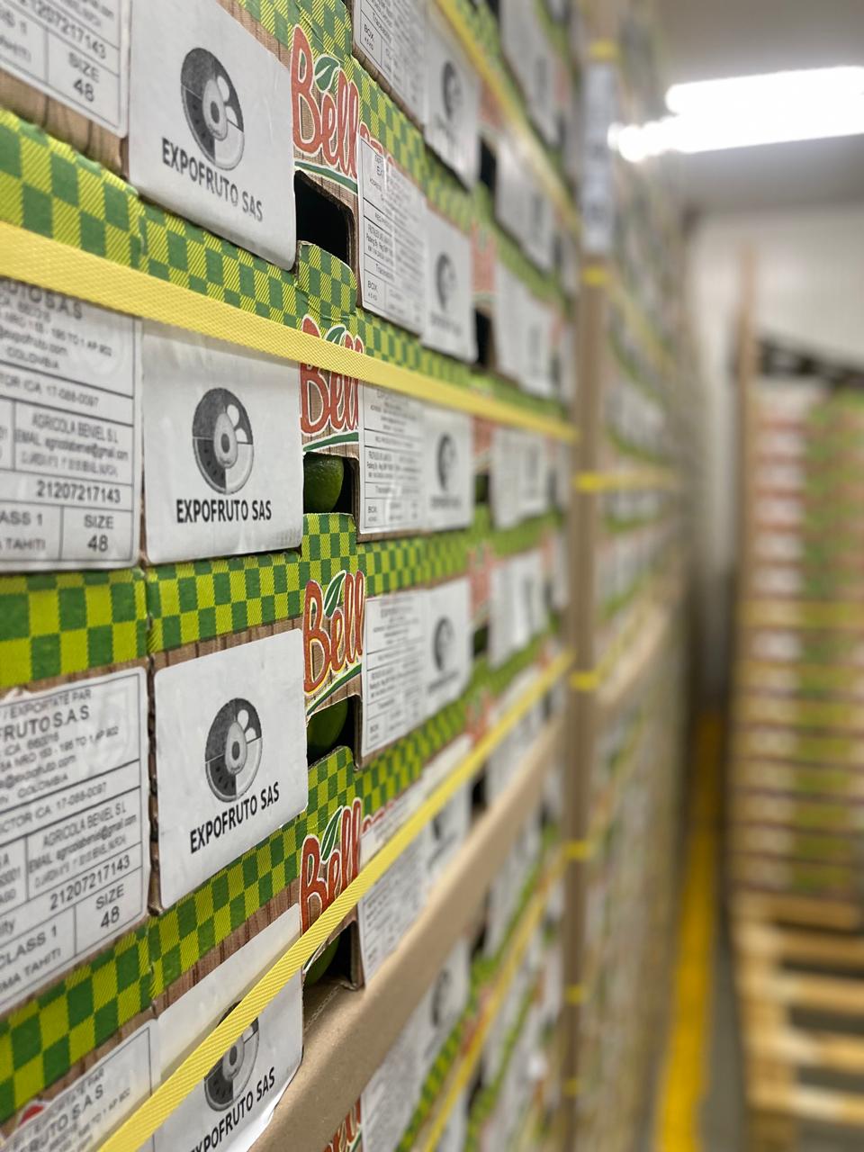 Exportación